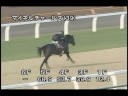 [調教] 081022 マイネルチャールズ 「菊花賞」前追い切り