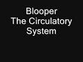 Bloopers Circulatory System
