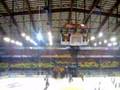 SC Bern - Fribourg Gottéron