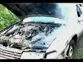 Project Lumina