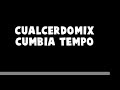 CualCerdoMix Cumbia Sexy