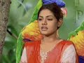 tisha in new  fantsy