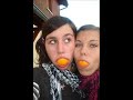 siamOise siamOise