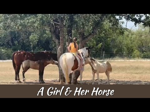 Horse & Filly Updates
