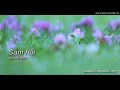 Sám hối - thi kệ Nhất Hạnh