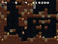 Spelunky Spelunky