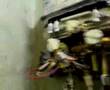 Water Heater GAS LPG 