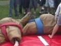 Sumo Marrey et Sumo Annie