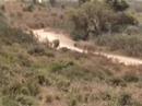 Rally de Vila do Bispo