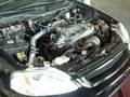 videos de turbo civic d16 dyno