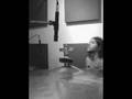 videos de stilte - desde el estudio (v.2)