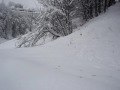 nevicata 170108