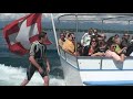 videos Surf