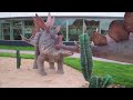 www.vancesova.com stegosaurus dinosaur herbivore or plant eater with spiked tail and spine covering plates can be seen at dino park praha in prague, czech republic in three live like exemplars. stegosaurus lived in what is now western united states and in portugal. it was not until 2006 that it was proven to have lived in europe. it is probably the second most recognizable dinosaur in popular culture next to tyrannosaurus rex. the name stegosaurus means 