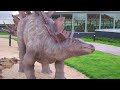 www.vancesova.com stegosaurus dinosaur herbivore or plant eater with spiked tail and spine covering plates can be seen at dino park praha in prague, czech republic in three live like exemplars. stegosaurus lived in what is now western united states and in portugal. it was not until 2006 that it was proven to have lived in europe. it is probably the second most recognizable dinosaur in popular culture next to tyrannosaurus rex. the name stegosaurus means 