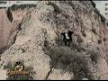 Funny Clip Compilation Funny Clip Compilation