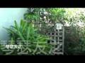 《YouTube嫁給我吧》窈窕淑女 君子好逑