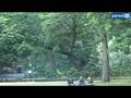 Vroeger in Mokum: Hippies in het Vondelpark