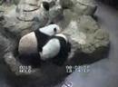 Mei and Tian playing