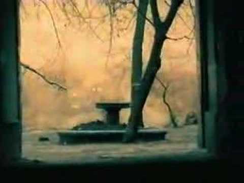 Vedi il video
