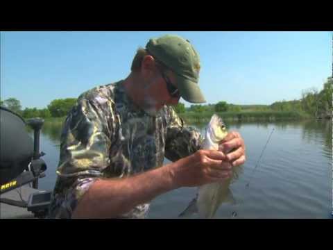 2012 Angling Edge show 13 white bass