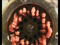 casalinghe-non-disperate.html