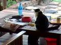 Bird and Cat