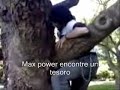 Suvir el Árbol Suvir el Árbol