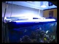 My Marine Aquarium - Part 1/2