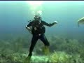 Shark Dive & Into the Blue Movie Set in Bahamas
