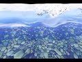 Water rendered in Realtime with vvvv
