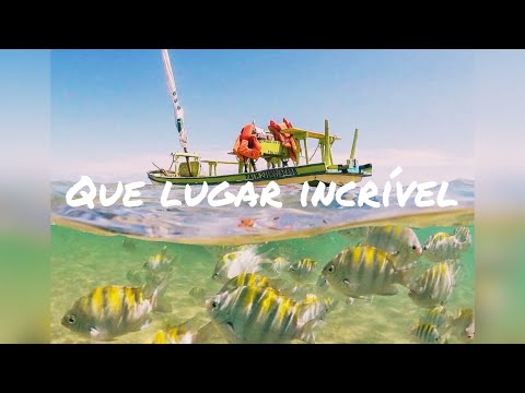 Piscinas Naturais da Pajuçara
