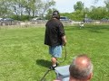 Brutus running the lure course