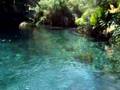 Las Estacas, Mexico 2/2007