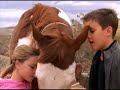 a slideshow of child actresses in classic horse movies, including elizabeth taylor in national velvet, dakota fanning in dreamer, alison lohman in flicka, scarlett johansson in the horse whisperer, and more.

please look closely at ride a wild pony, the movie at 1:38, because it's one of my favorite movies ever! for more on this film, visit my website about it at ...
http://www.freewebs.com/awildpony/index.htm