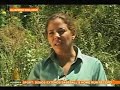 Mosaic: World News From The Middle East - August 9, 2007  Yemen Middle East