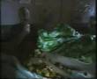 Snutarna del 2 (1:2)