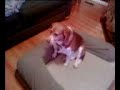 Adorable Beagle. Adorable Beagle.