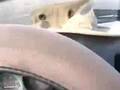 RAV4-EV drives free vs. $3.37 gaso