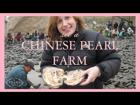 how to know if an oyster has a pearl in it