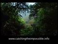Programme 1 Trailer - Searching for Gold