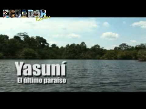 yasuni - Yasuni - El ultimo paraiso ... Video Cortesía - Dirección de Turismo del Gobierno Municipal Francisco de Orellana.