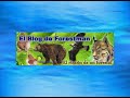 Thumbnail #3