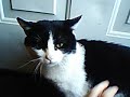 bugging the CRAP out of bootsy
