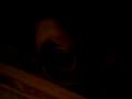 marsvinen k�kar gr�s