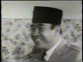 Search Video