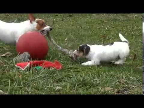 Larry is playing ball with his mom