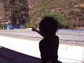 ペルーレイルについて本気出して考えてみる