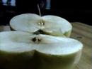 almav�g