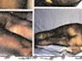 videos de SOS - Tortura policial en España - canarias-semanal.com